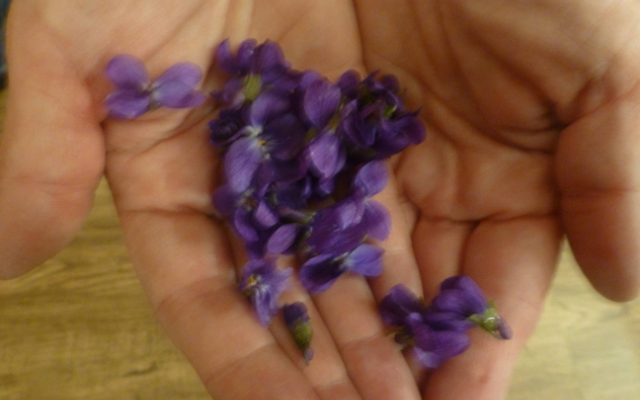 Veilchensirup schnell gemacht