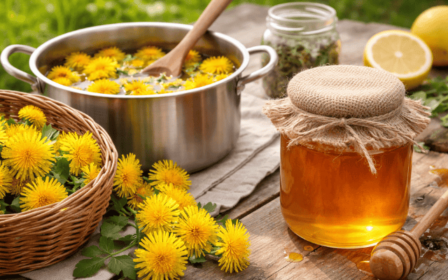 Löwenzahn Honig selbst herstellen