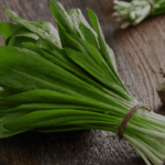 Schnelle Bärlauch Rezepte