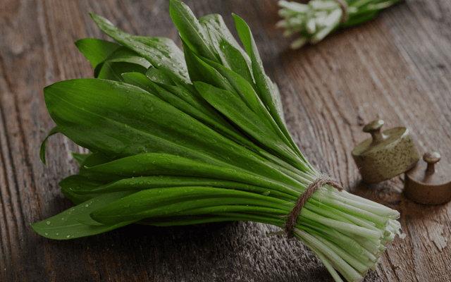 Schnelle Bärlauch Rezepte