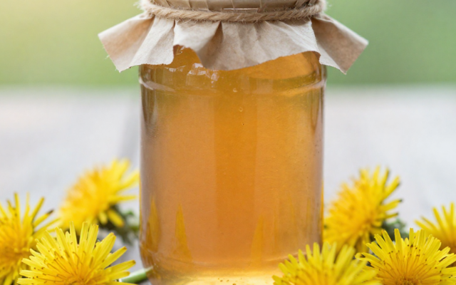 Löwenzahn Sirup selber machen