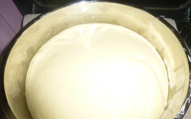 Dinkel Toast Brot Teig