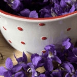 Duftveilchen verwenden Rezept