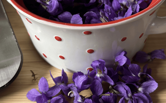 Duftveilchen verwenden Rezept