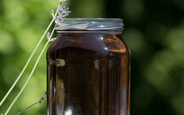 Lavendelsirup selber machen