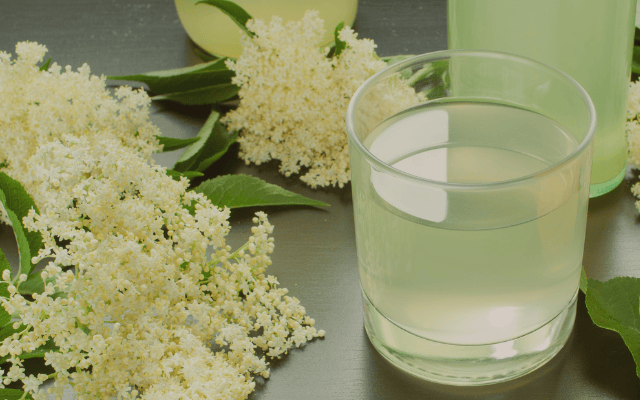 Holunderblütensirup selber machen