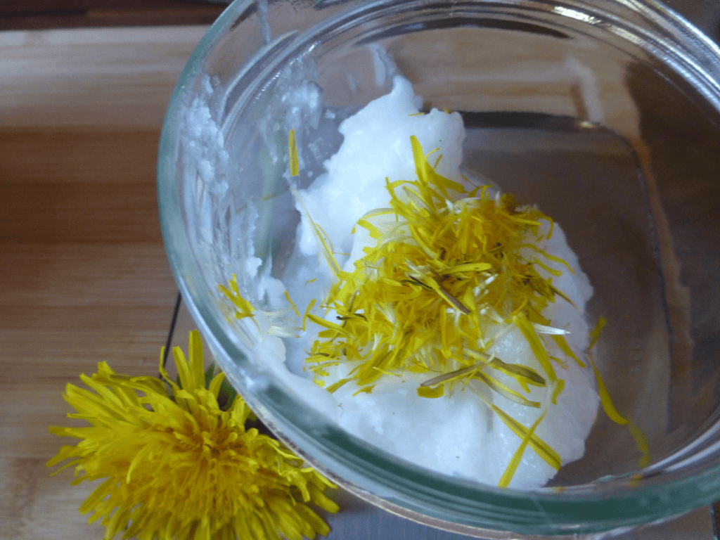 Kokosöl mit Löwenzahnblüten