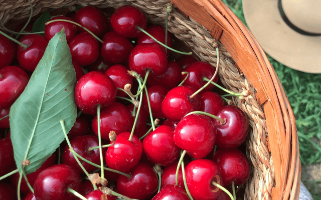 Kirschen verarbeiten