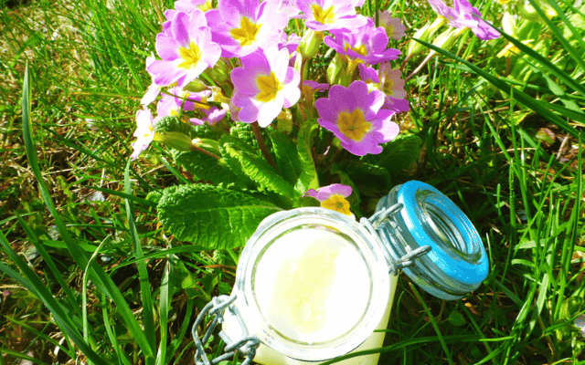 Selbstgemachte Kosmetik mit Wildpflanzen