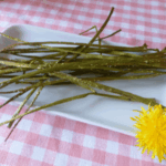Löwenzahn Snack knusprig