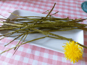 Löwenzahn Snack knusprig
