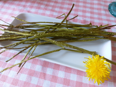Löwenzahn Snack knusprig