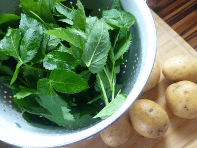 Giersch Rezept Suppe
