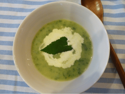Kartoffelcreme Suppe mit Giersch 